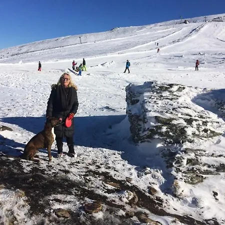 Daire Almhaus Schreibmayer