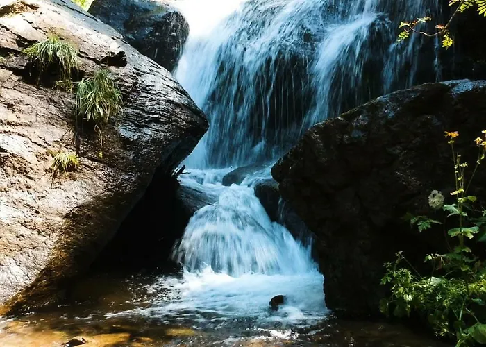 Apartament Almhaus Schreibmayer